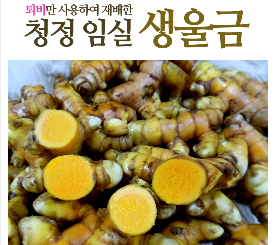 생울금(특) 10kg