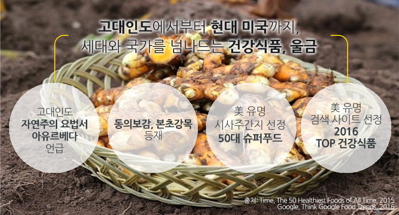생울금(특) 5kg