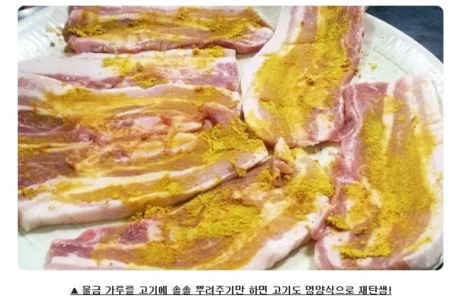 울금분말 (180g*1개)